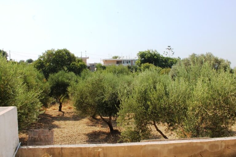Kos Adası’nda 146 m² Satılık Müstakil Ev ID100 (11) Yurt Dışı Emlak